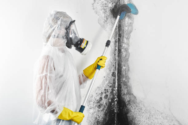 Best Crawl Space Mold Remediation  in Hueytown, AL