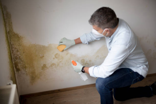 Best Post-Remediation Verification Testing  in Hueytown, AL